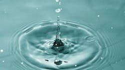 1655327115531 Dup 58 1655327115531 Dup 58