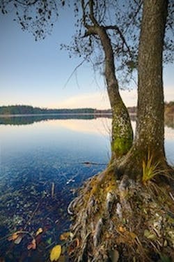 1655327124123 Dup 78 1655327124123 Dup 78