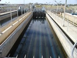 1655327127404 Diamond 1655327127404 Diamond