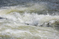 1655327137197 Wwd News Copy 1655327137197 Wwd News Copy