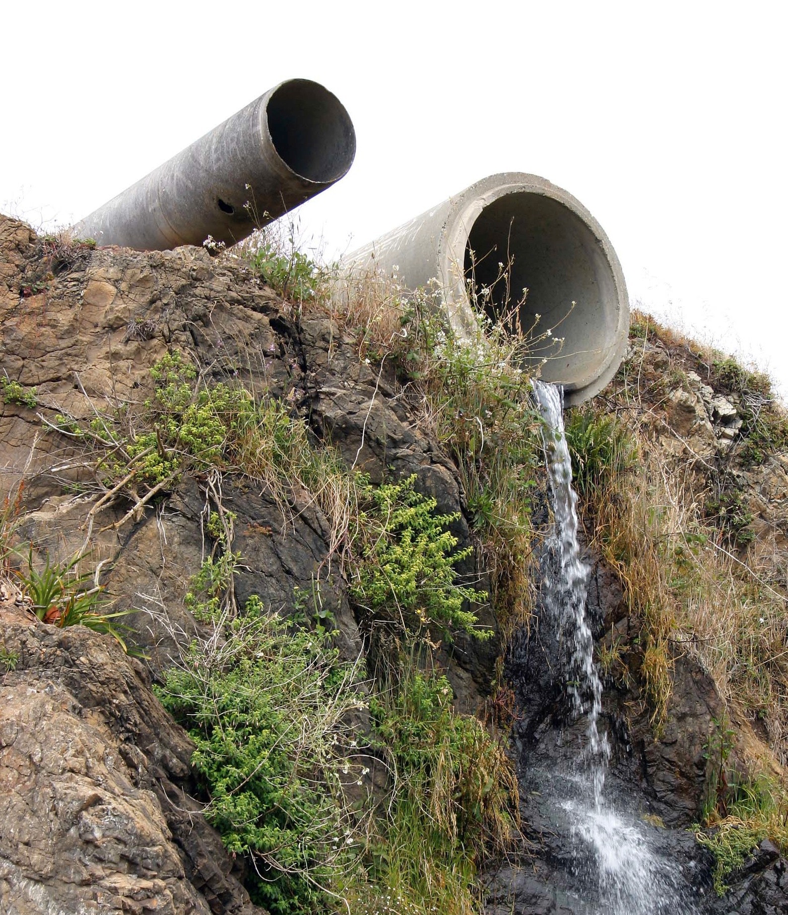 1655327152923 Photo 534 20051115 0