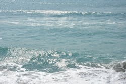 1655327158318 1330481 44191097 1655327158318 1330481 44191097