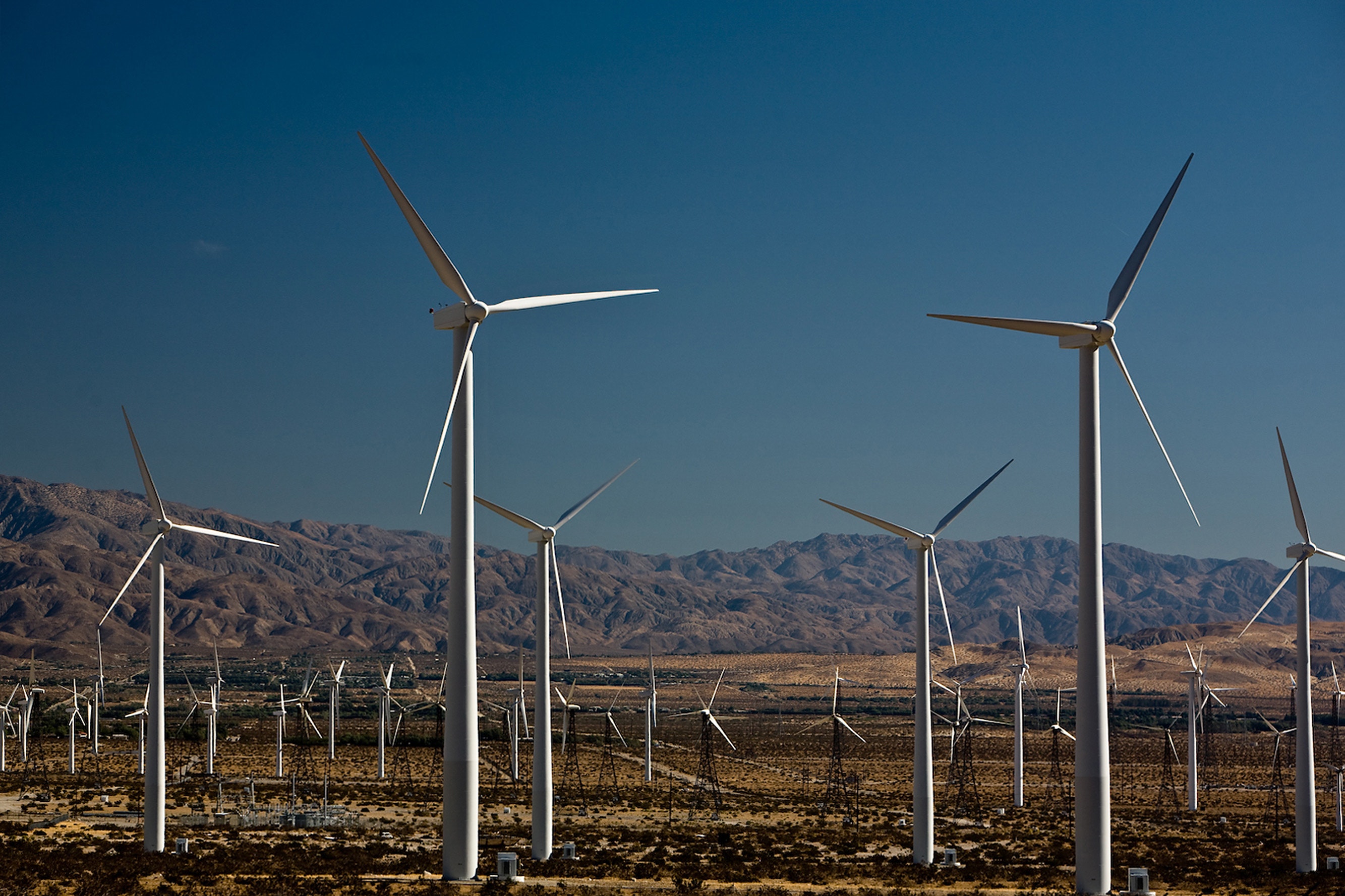 1655327158533 Photo 17246 20100318 0