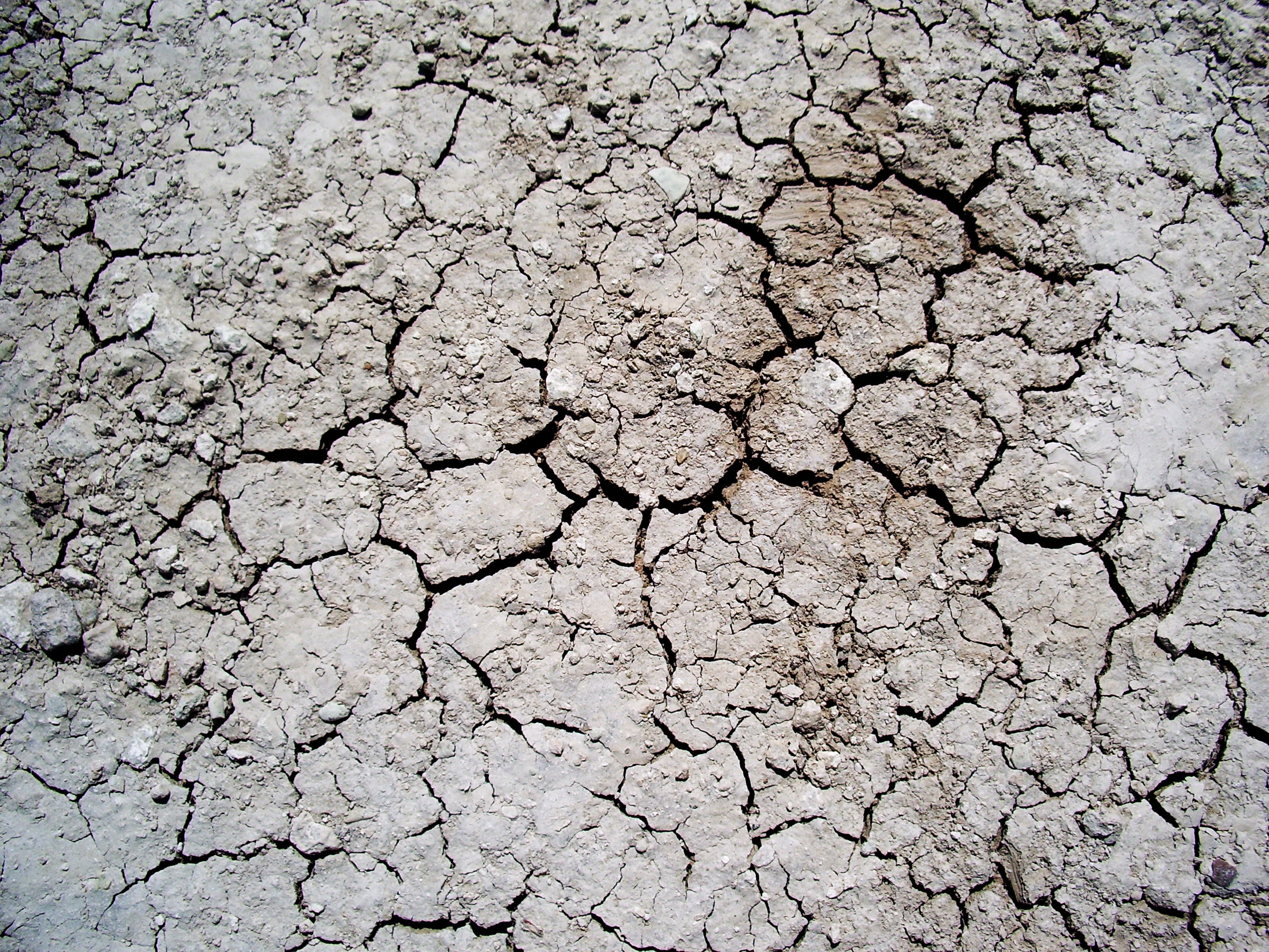 1655327163778 1186892 66387435 0