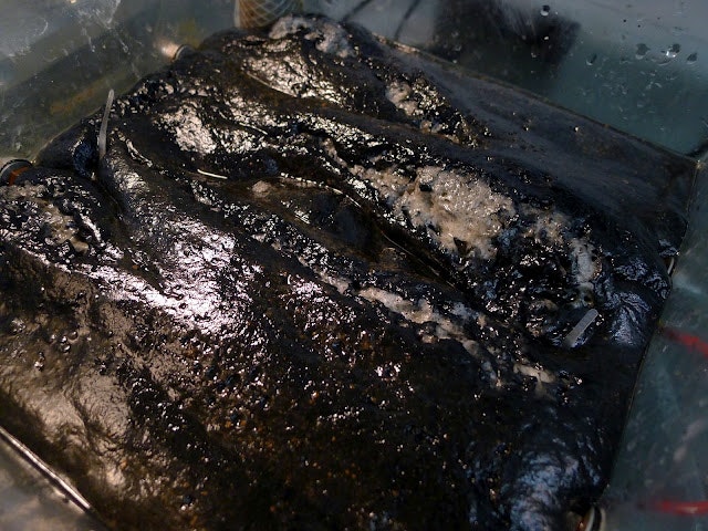 1655327171838 P1040158