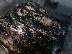 1655327171838 P1040158 1655327171838 P1040158