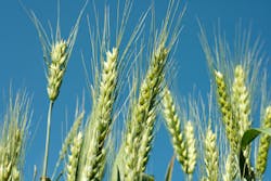 1655327187582 1382014 31843589 1655327187582 1382014 31843589