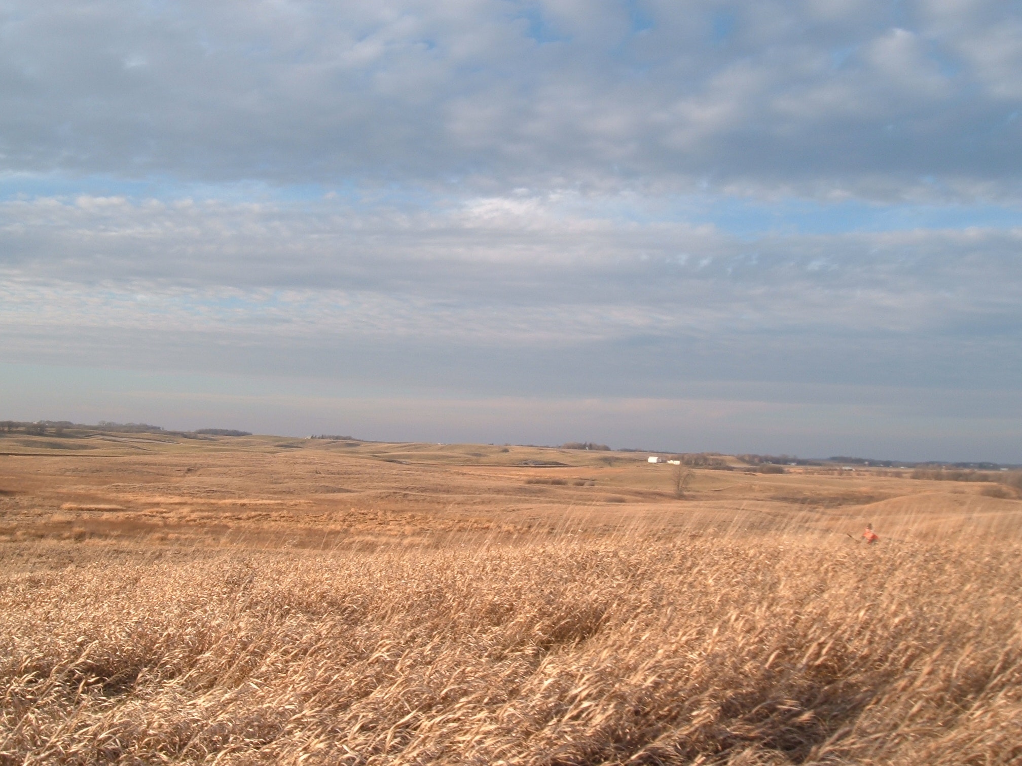 1655327219679 493104 72480871