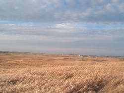 1655327219679 493104 72480871 1655327219679 493104 72480871