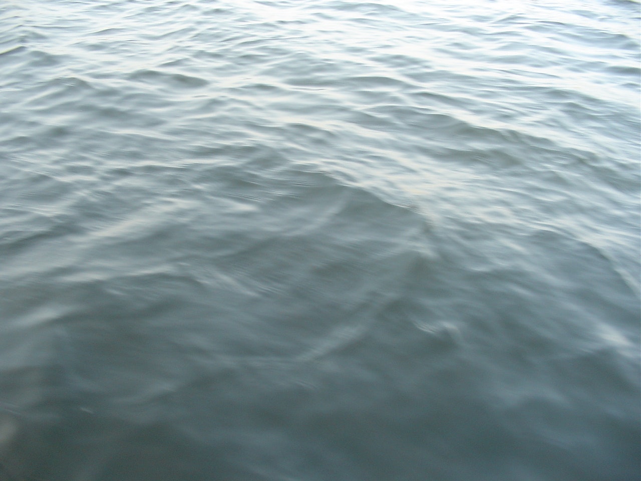 1655327222501 235104 5322 0