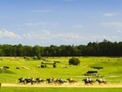 1655327229204 Horse 1655327229204 Horse