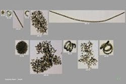 1655327236993 Flowcam Detects Algal Cells Cyanobacteria 1655327236993 Flowcam Detects Algal Cells Cyanobacteria