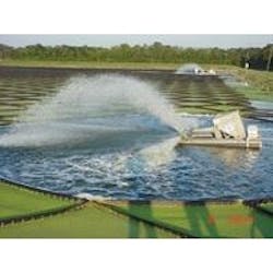 1655327254353 Airmaster 0 1655327254353 Airmaster 0