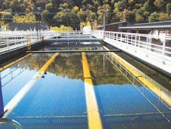 1655327262592 Wcsa 1655327262592 Wcsa