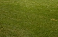 1655327271389 Image002 0