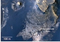 1655327283734 Pia16710 Fig1