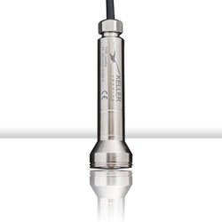 1655327305580 Keller Ps Levelrat 2 1655327305580 Keller Ps Levelrat 2