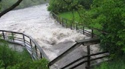 Red Valve CS MI 1 Red Valve CS MI 1