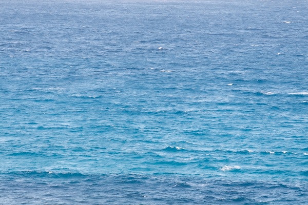 1655327313044 Wwd Water5