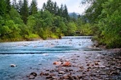 1655327313403 River 2 1655327313403 River 2