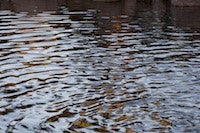 1655327338051 Water8 1