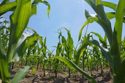 1655327347547 1416275 26126124 0 1655327347547 1416275 26126124 0