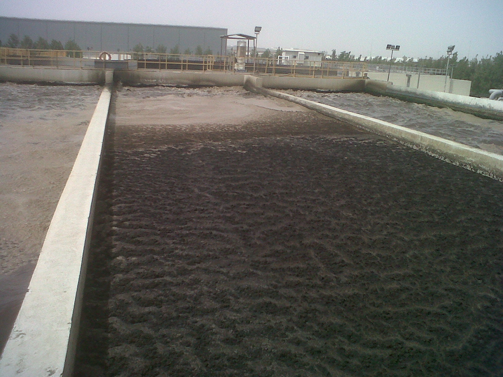 Before Installing Tritons