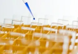 1655327395460 Chemical 3