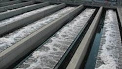 1655327396424 Shanghai Colox 1655327396424 Shanghai Colox