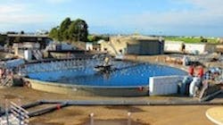 1655327404688 San Leandroimg 4057b 1655327404688 San Leandroimg 4057b