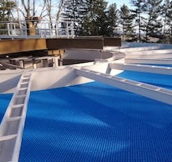 1655327418948 Brentwood Ps Tube Settlers 1655327418948 Brentwood Ps Tube Settlers