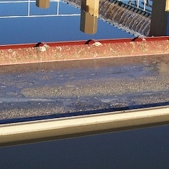 1655327422262 Brentwood Ps Scum