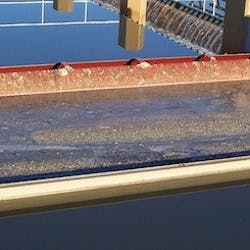 1655327422262 Brentwood Ps Scum 1655327422262 Brentwood Ps Scum