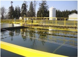 1655327428044 Brentwood Cs Tiffin 1 1655327428044 Brentwood Cs Tiffin 1