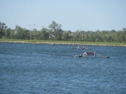 1655327436117 Med4141 1655327436117 Med4141