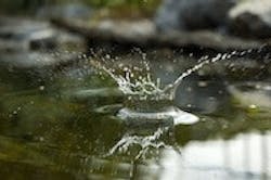 1655327444783 Water12 3 1655327444783 Water12 3