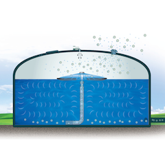 1655327458987 Medora Ps Thm