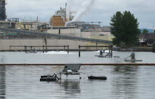 1655327474164 Medora Cs St Helens Or