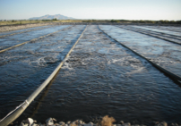 EDI CS Grantsville UT