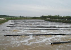 1655327477039 Edi Cs Dresser Wi 1655327477039 Edi Cs Dresser Wi