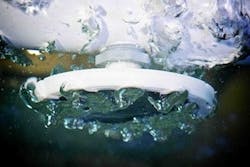 1655327481235 Edi Ps Permacap 1655327481235 Edi Ps Permacap