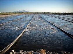 1655327481441 Edi Ps Atlas Dbbr 1655327481441 Edi Ps Atlas Dbbr