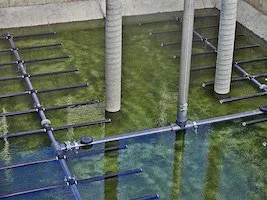 Edi Mini Panel Diffuser Fine Bubble Diffuser | Wastewater Digest