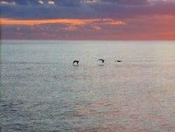 1655327526792 Water19 1655327526792 Water19