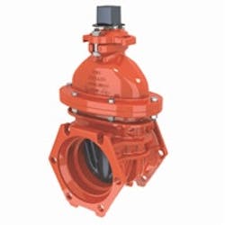 1655327528957 8 Copy 1655327528957 8 Copy