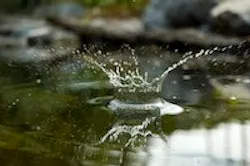 1655327531371 Water12 4