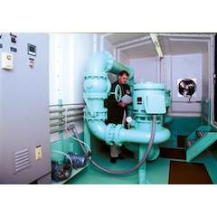 Smith Loveless PS Capsular