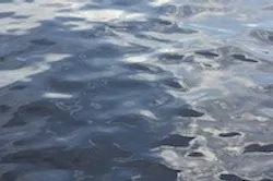 1655327560266 Water21 0
