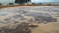 Paper Mill Wastewater Treatment System Paper Mill Wastewater Treatment System