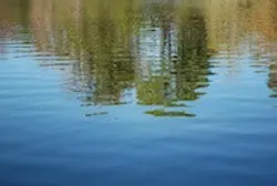 1655327564001 Water20 0